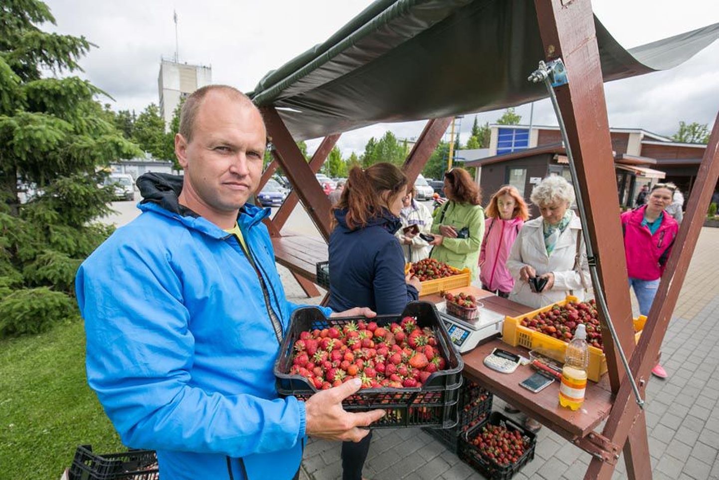 Mikk Põder on oma maasikatega Paide turule sõitnud Tartust ja kinnitab, et nii kaugele tulek tasub ennast ära.