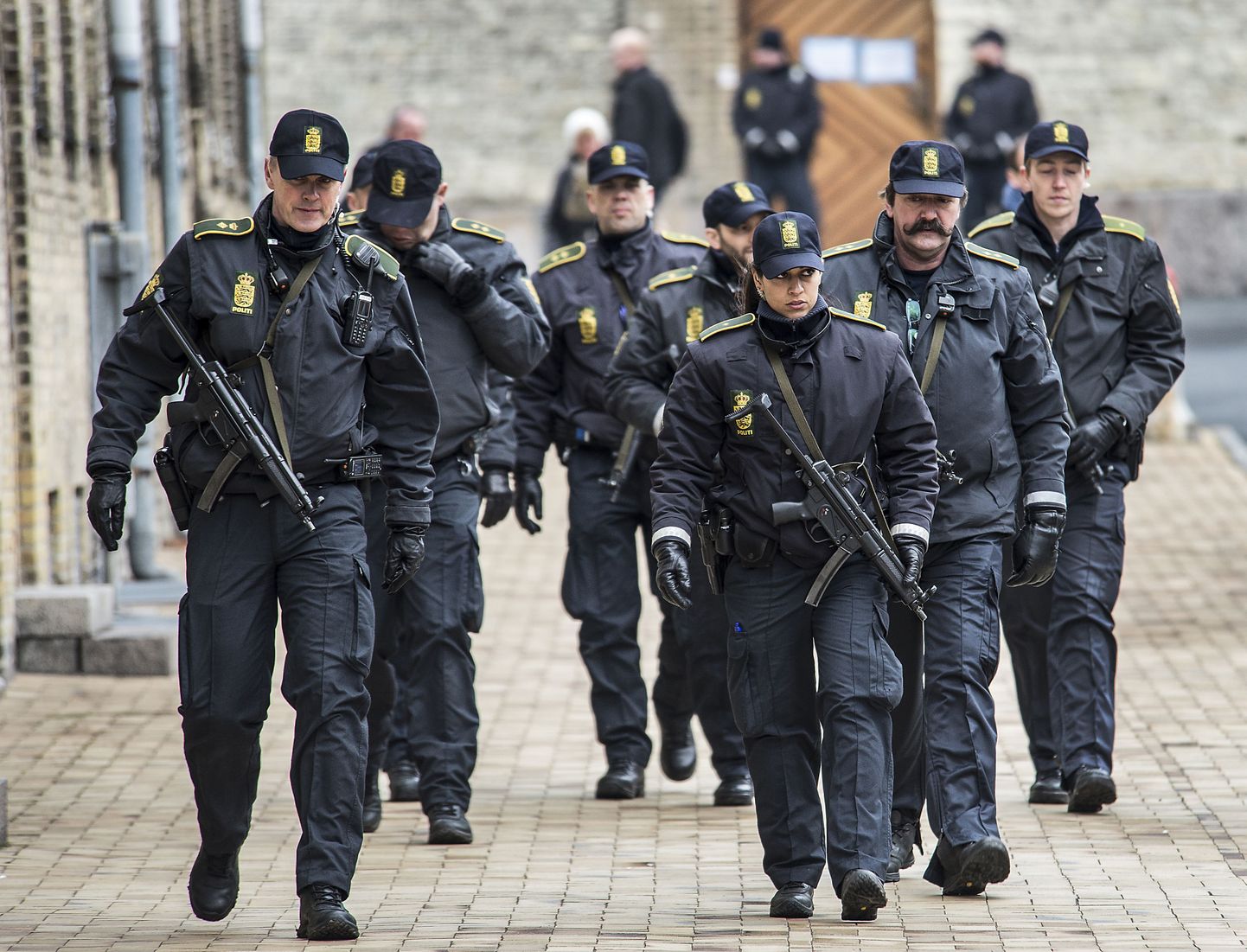 Полицейские Дании.