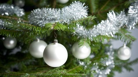 Фото: rus.postimees.ee