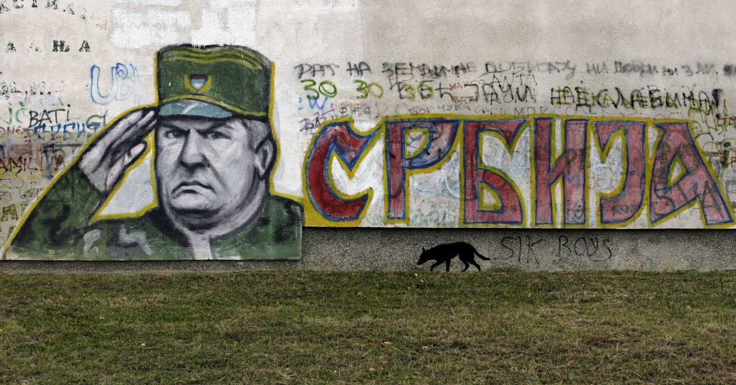 Портрет генерала Младича на стене в Белграде.