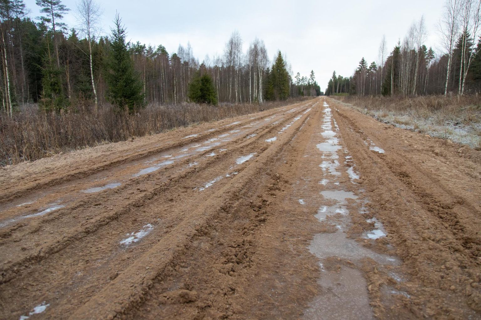 Sandranõmme tee, mis viib Soomaad läbival Kõpu–Tõramaa–Jõesuu teel Teesoo bussipeatusest Halliste teeni, oli sel nädalal üsna läbimatu. Neljapäevaks olid paigaldatud ka vastavad teetähised.