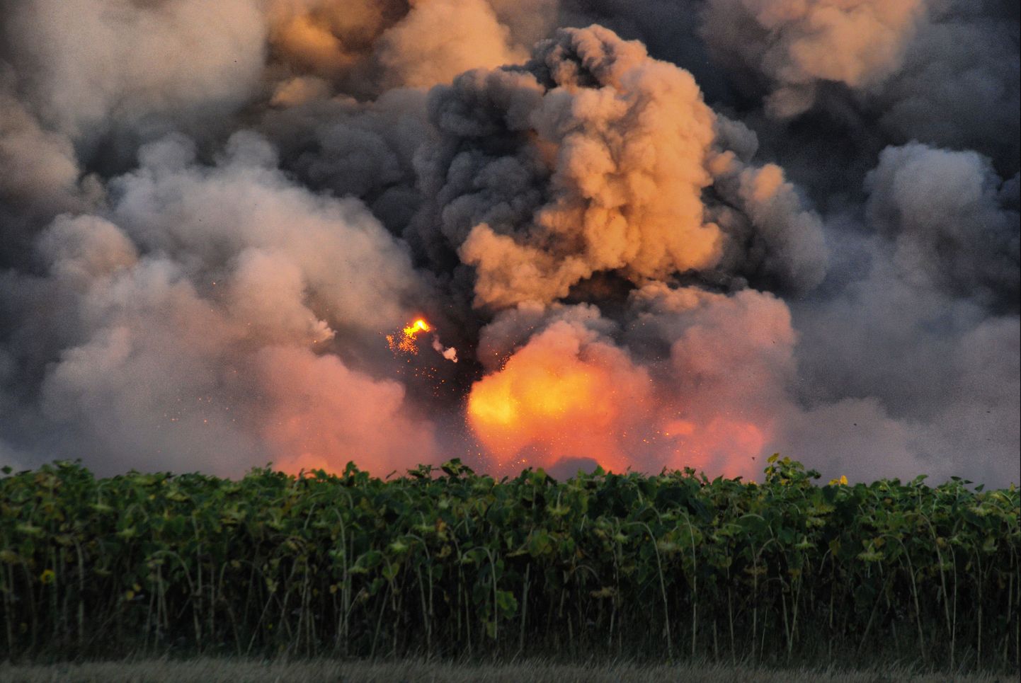 Pilt on tehtud mullu suvel, kui täna süttinud kemikaalilao kõrval põles laskemoonaladu.