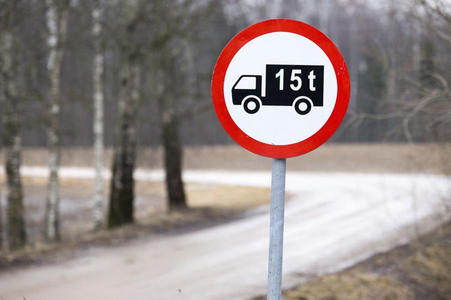 Viljandi vallas asuval Moori–Jamsu teel on 15-tonnise massipiirangu märk üleval aasta läbi.