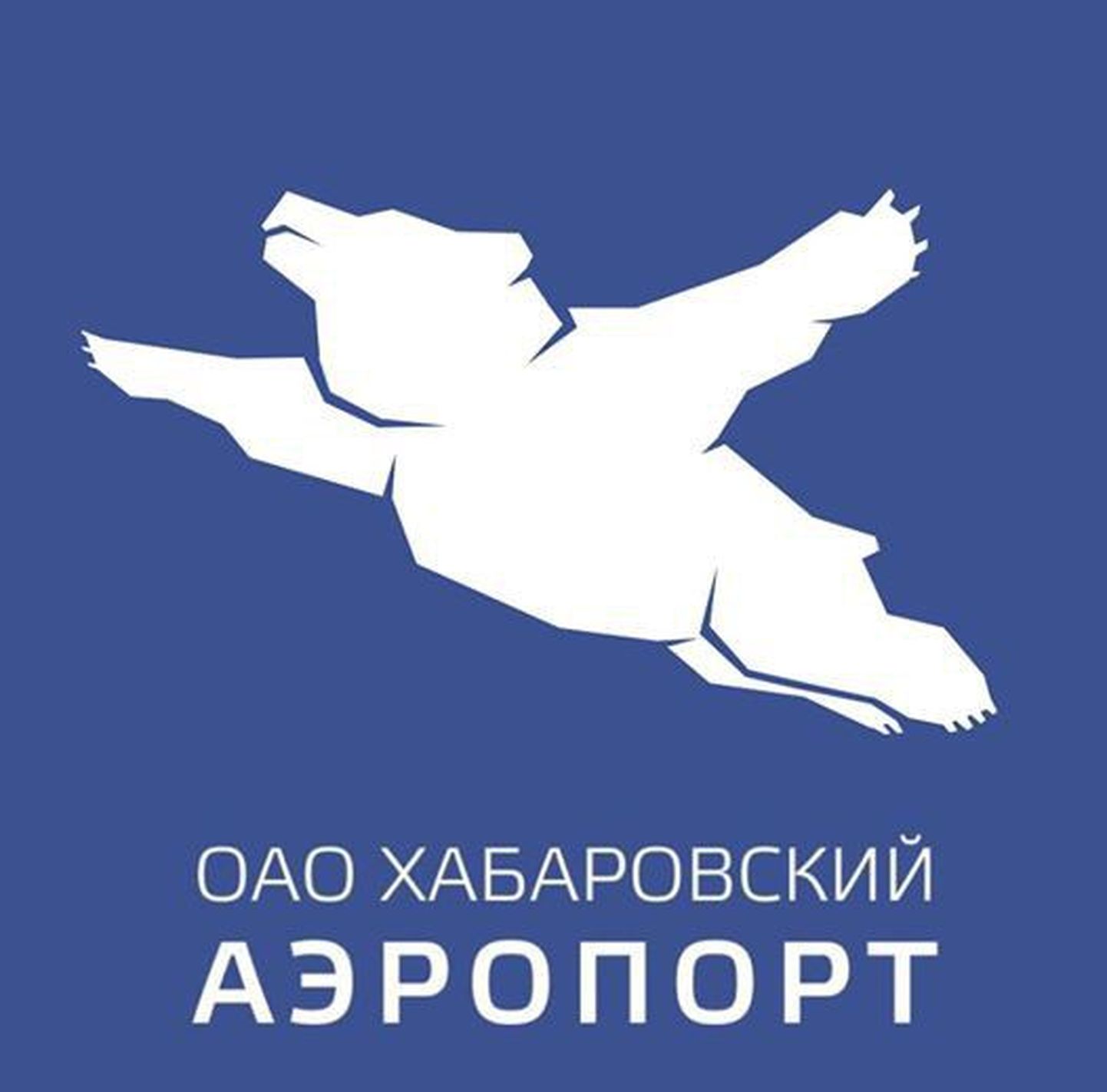 Vene lennujaama uus logo.
