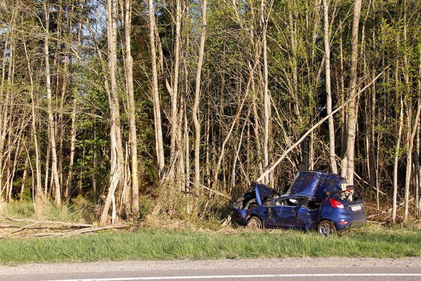 Vastu puud paiskunud autos suri tagaistmel istunud portugallane.