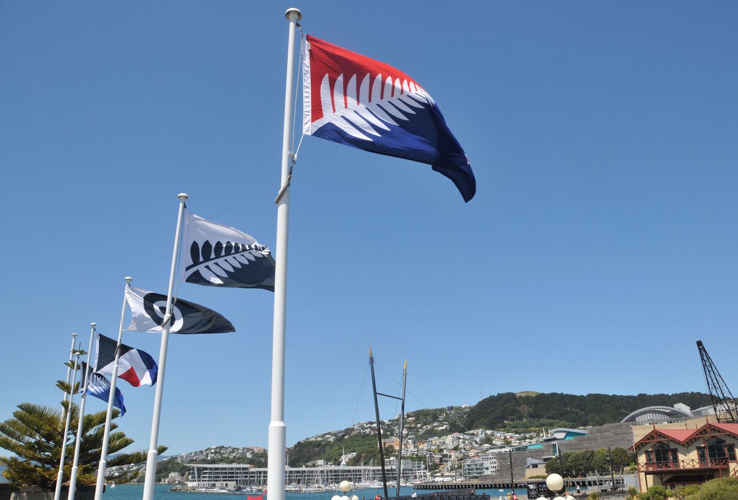 Жители Новой Зеландии началось голосование в ходе которого новозеландцы выберут новый флаг. На фото разные варианты нового флага.