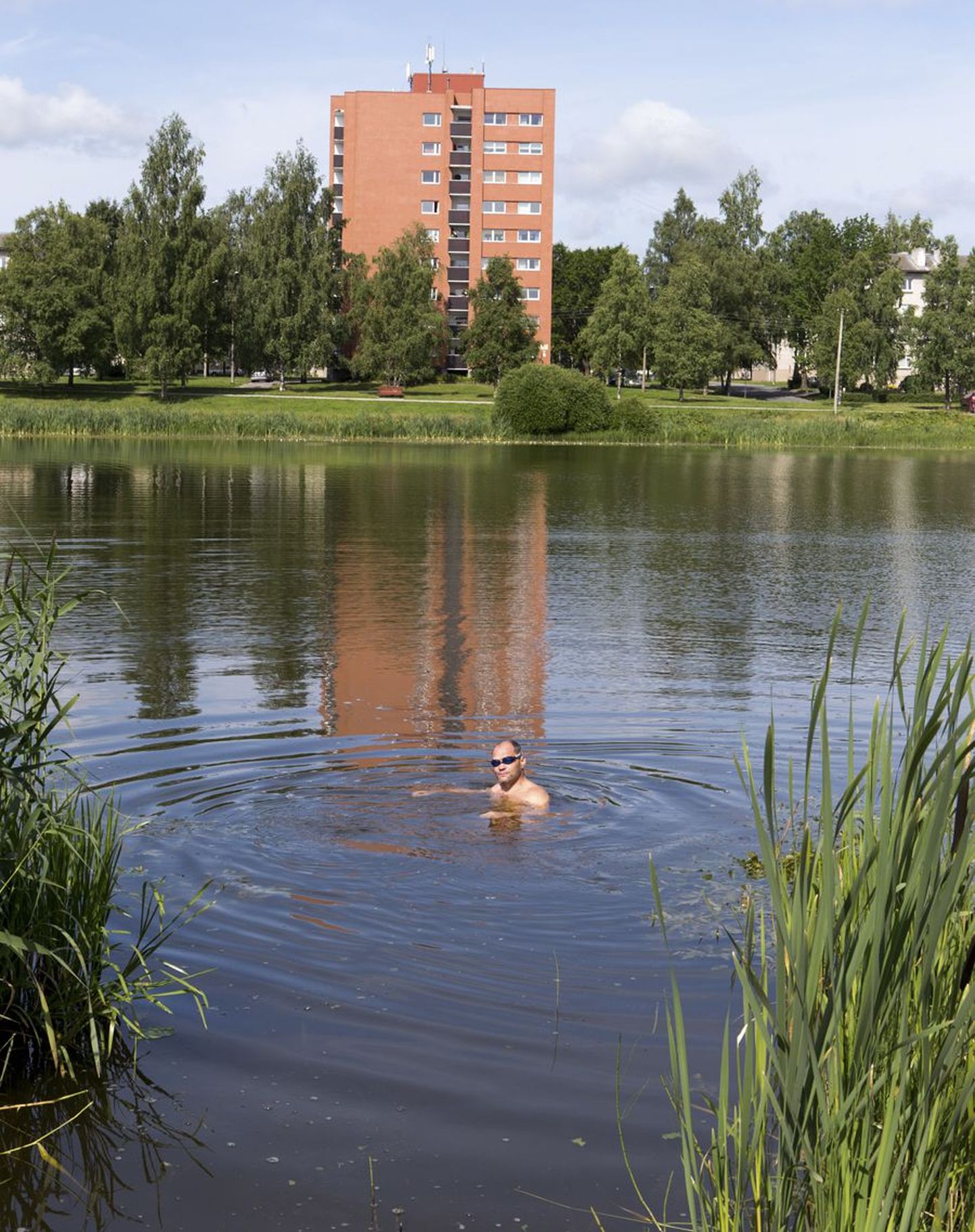 Viljandi Paala järves on nüüd mõnusam ujuda, sest linnavalitsus laskis seal veekasve eemaldada.