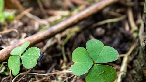 ����: rus.postimees.ee