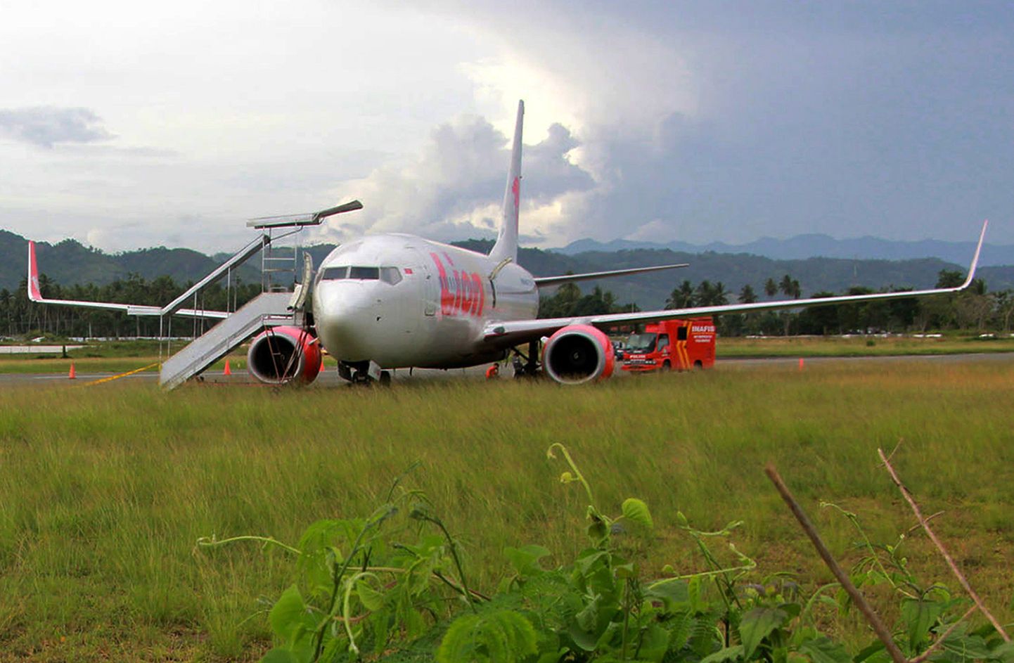 Lion Airi reisilennuk riivas maandumisel lehma ja libises maandumisrajalt välja.