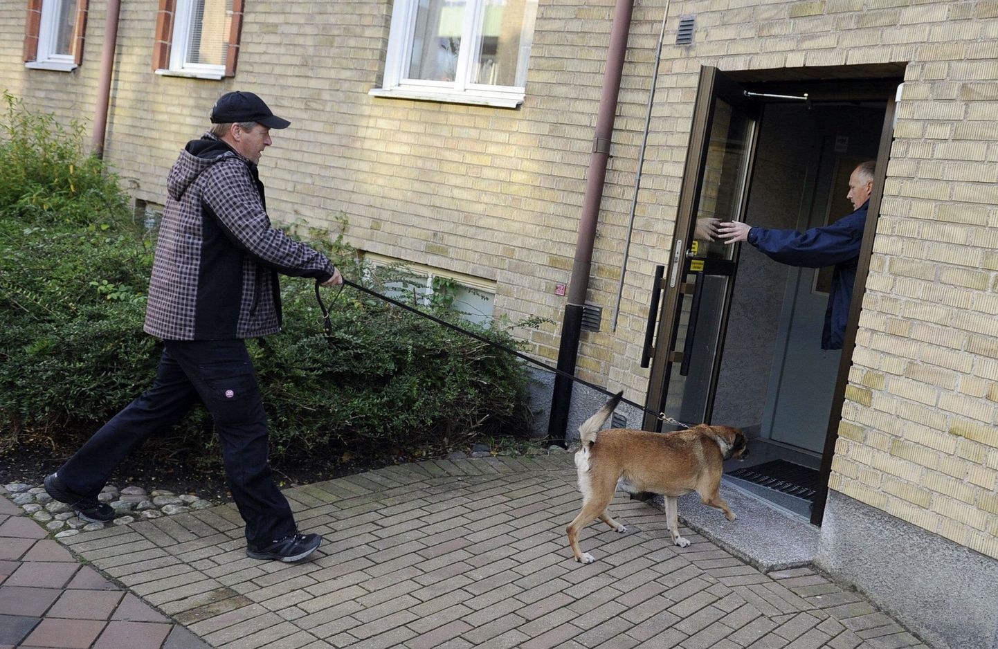 Malmö politseinik siseneb koos koeraga kortermajja, kus elab arvatav saritulistaja.