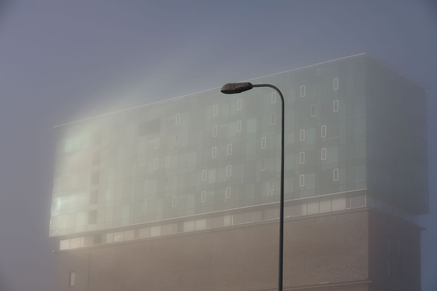 Туман в Таллинне доставил много хлопот и жителям столицы, и авиапассажирам.