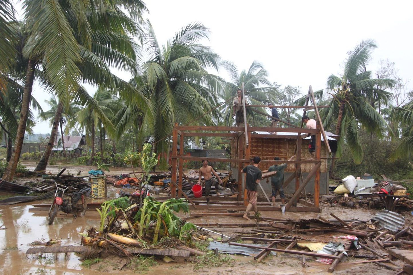 Inimesed püüavad taastada oma kodu Kagu-Filipiinidel Compostela orus, kus tegi laialdast hävitustööd taifuun Bopha.