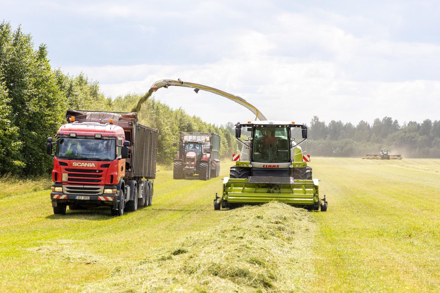Väätsa Agro põldudel on sel juuli esimsel poolel käimas silotegu.