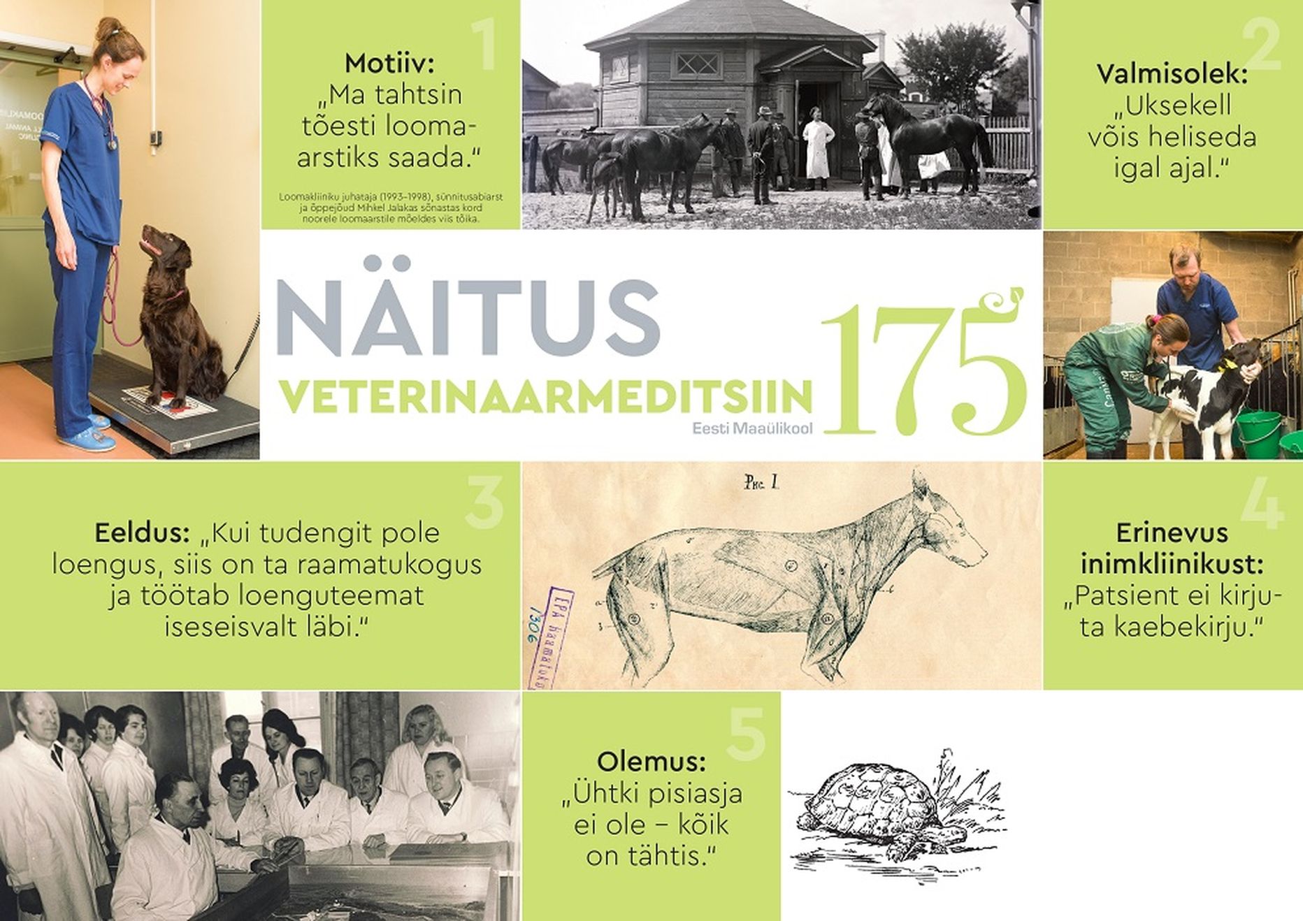 Juubelinädala avasündmus on näituse «Veterinaarmeditsiin 175» avamine.