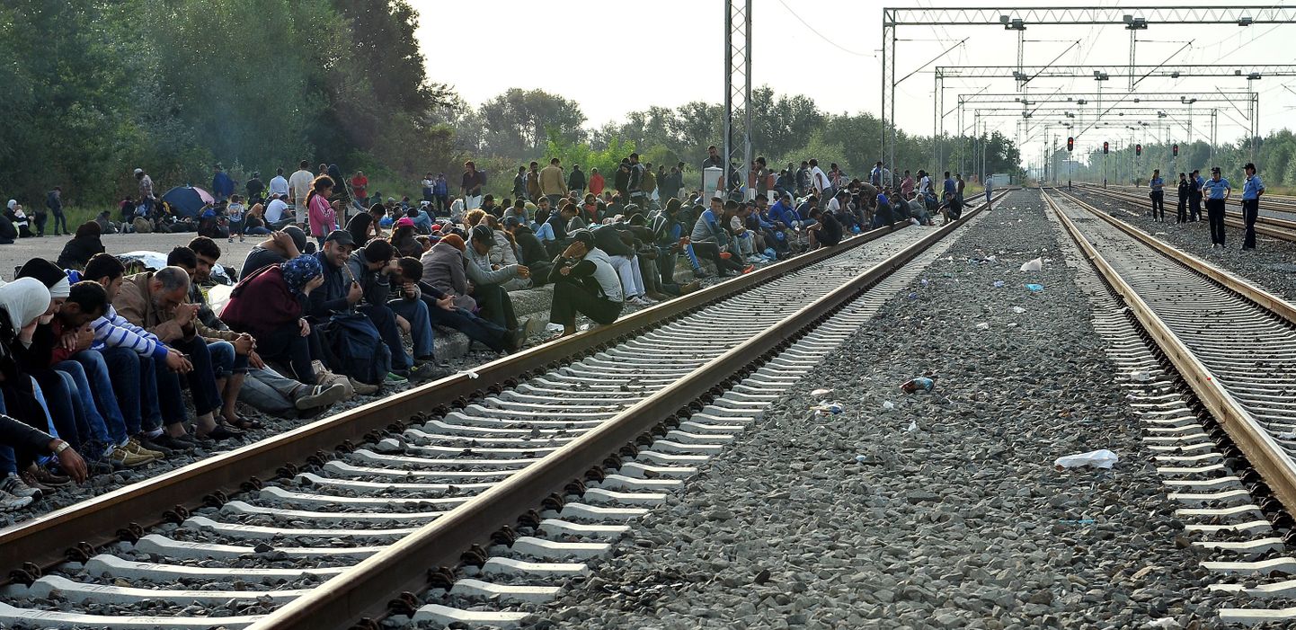Мигранты в Хорватии.