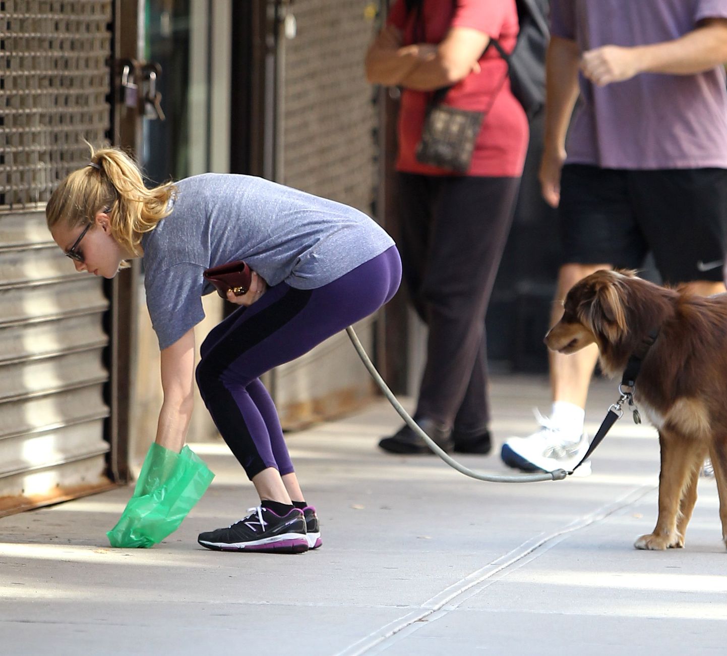 Näitlejanna Amanda Seyfried oma koera Finniga.