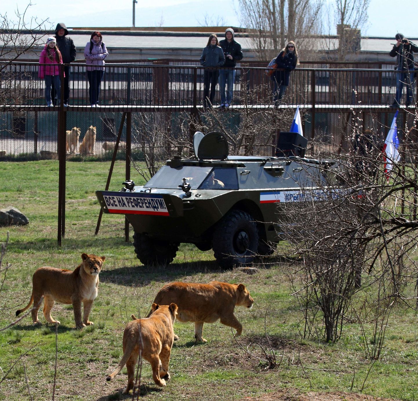 Военную технику с российскими флагами можно увидеть даже в зоопарке Симферополя.