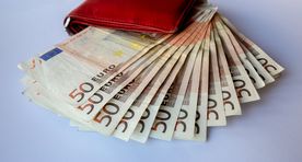 Самый богатый семейный врач Эстонии - живущий в Германии исландец