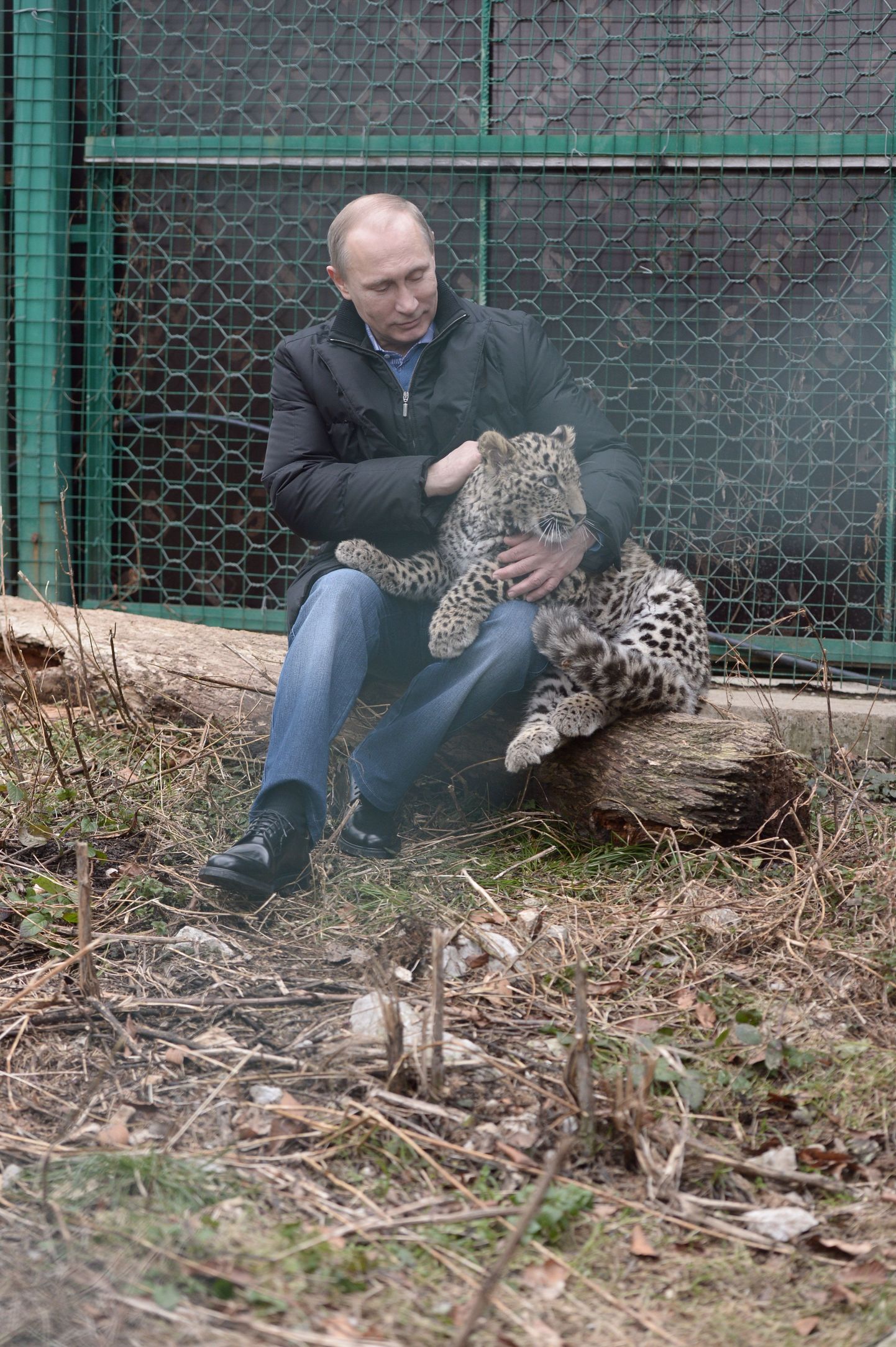 Vladimir Putin ja Pärsia leopard