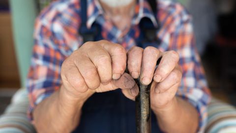 Фото: rus.postimees.ee