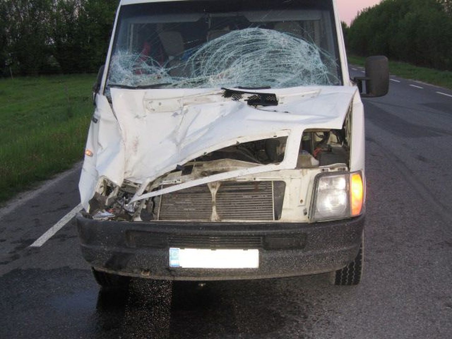 Микроавтобус Volkswagen после столкновения с лошадью