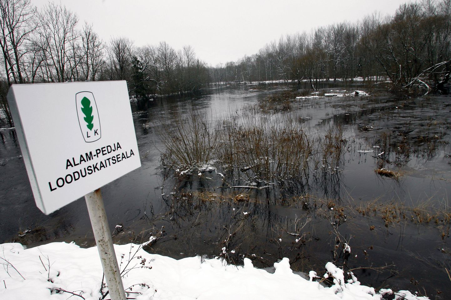 Üks osaliselt Viljandimaale jääv looduskaitseala on Alam-Pedjal.