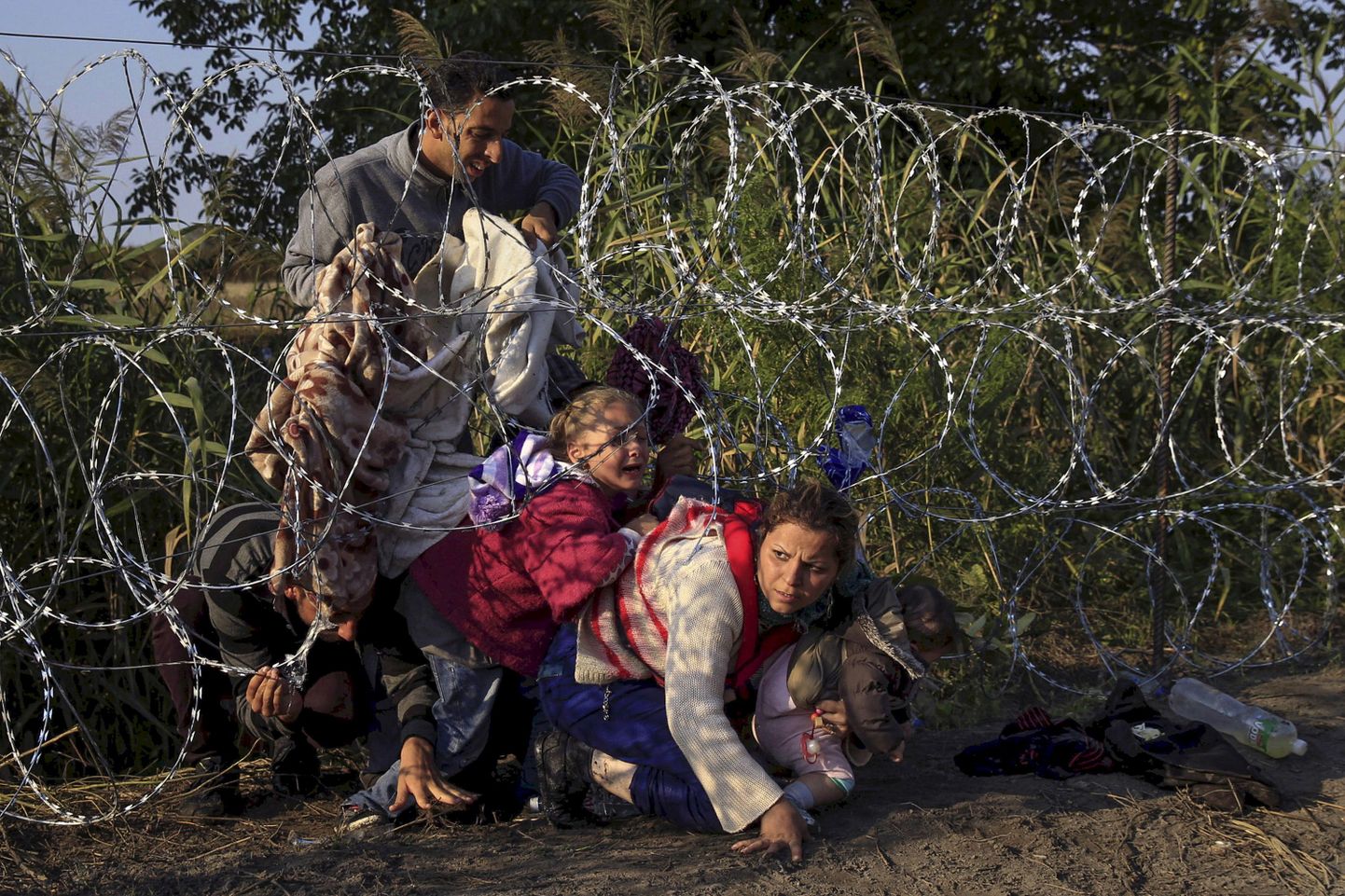 Беженцы пересекают границу Сербии и Венгрии.