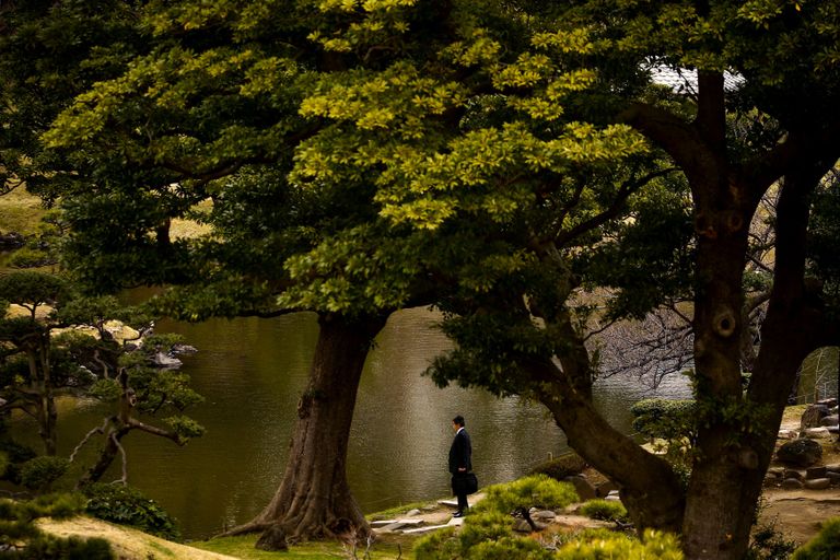 Jaapan. Tokyo ärimees Kyu-Shiba-rikyu aias soojal kevadpäeval tiigi juures seismas. 