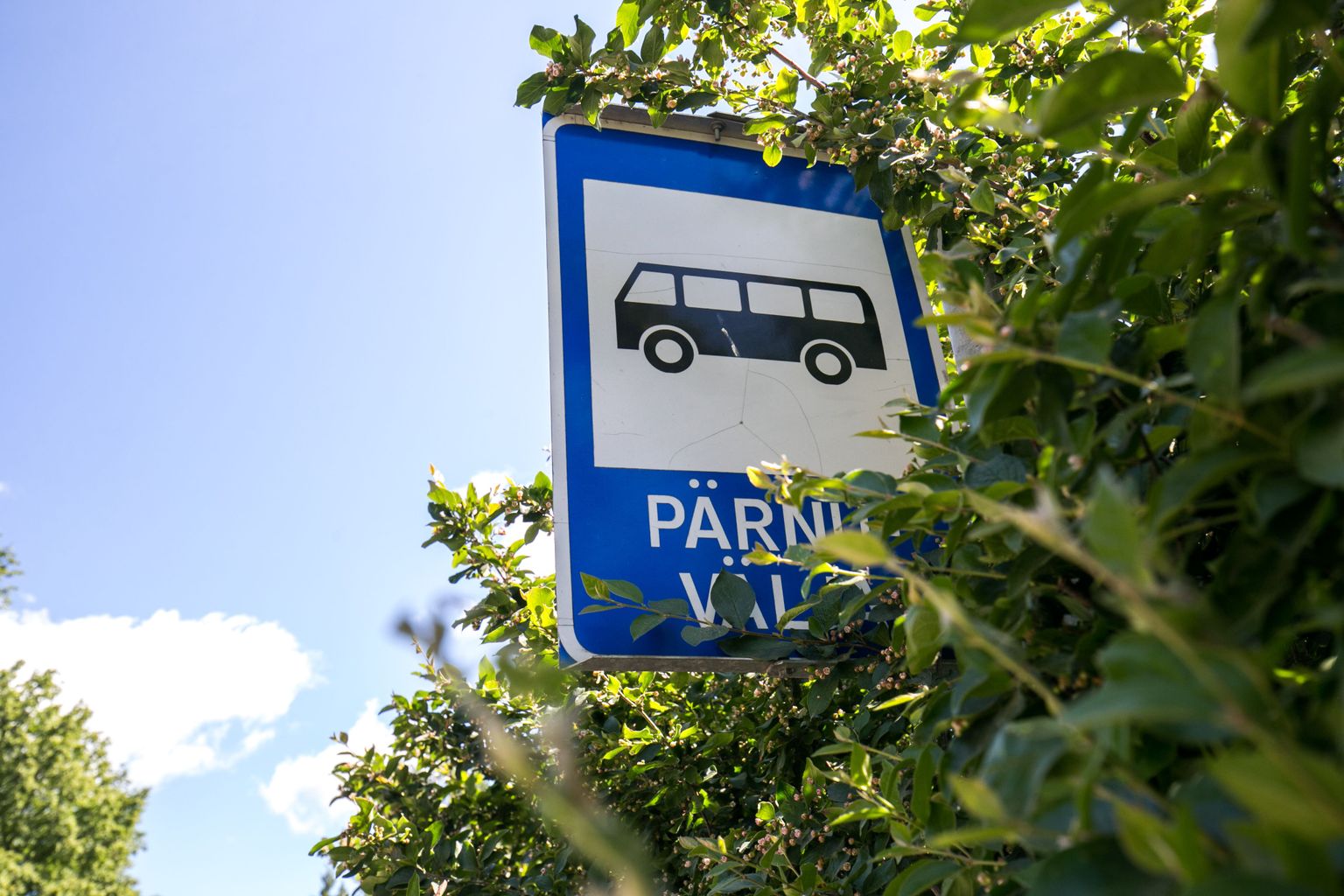 bussipeatus. Pilt on illustratiivne.