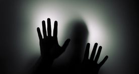 Обеспокоенная жительница Таллинна: мой сын получил послание от имени террористической группировки ИГ