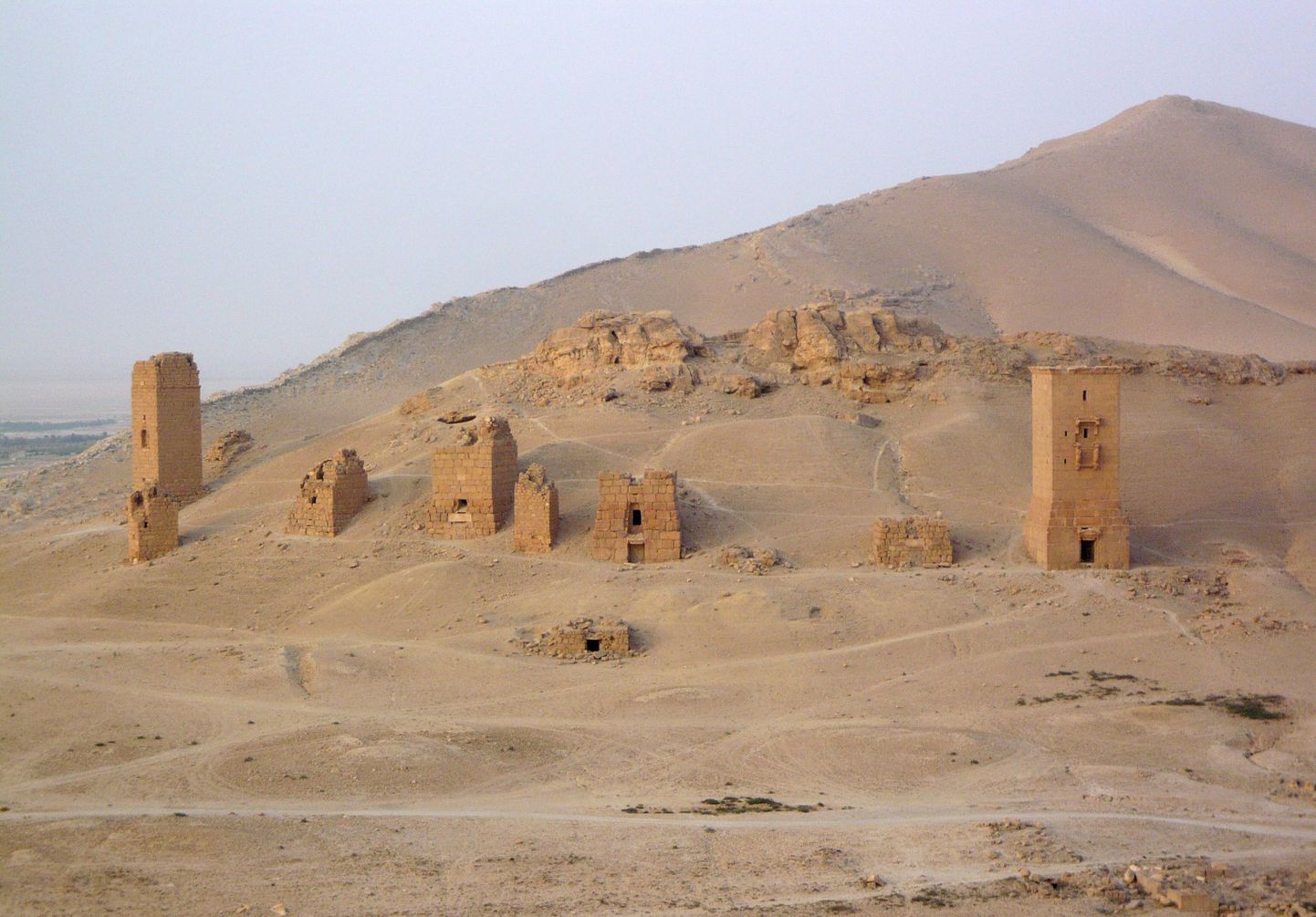 Palmyra iseloomulikud matusetornid.