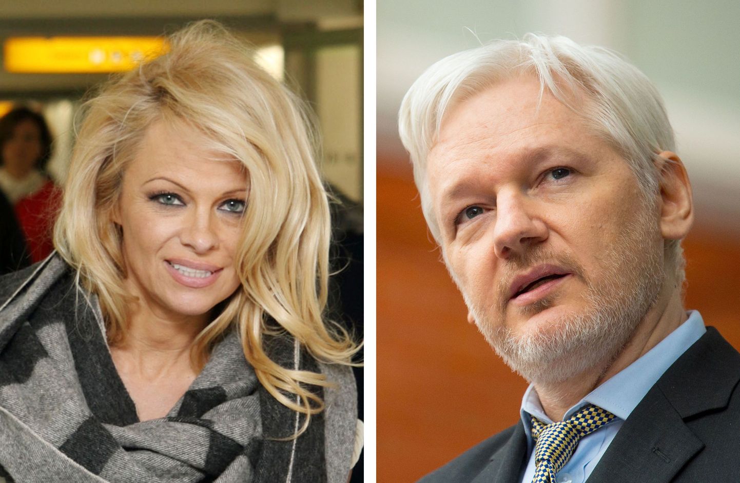 Pamela Anderson ja Julian Assange.