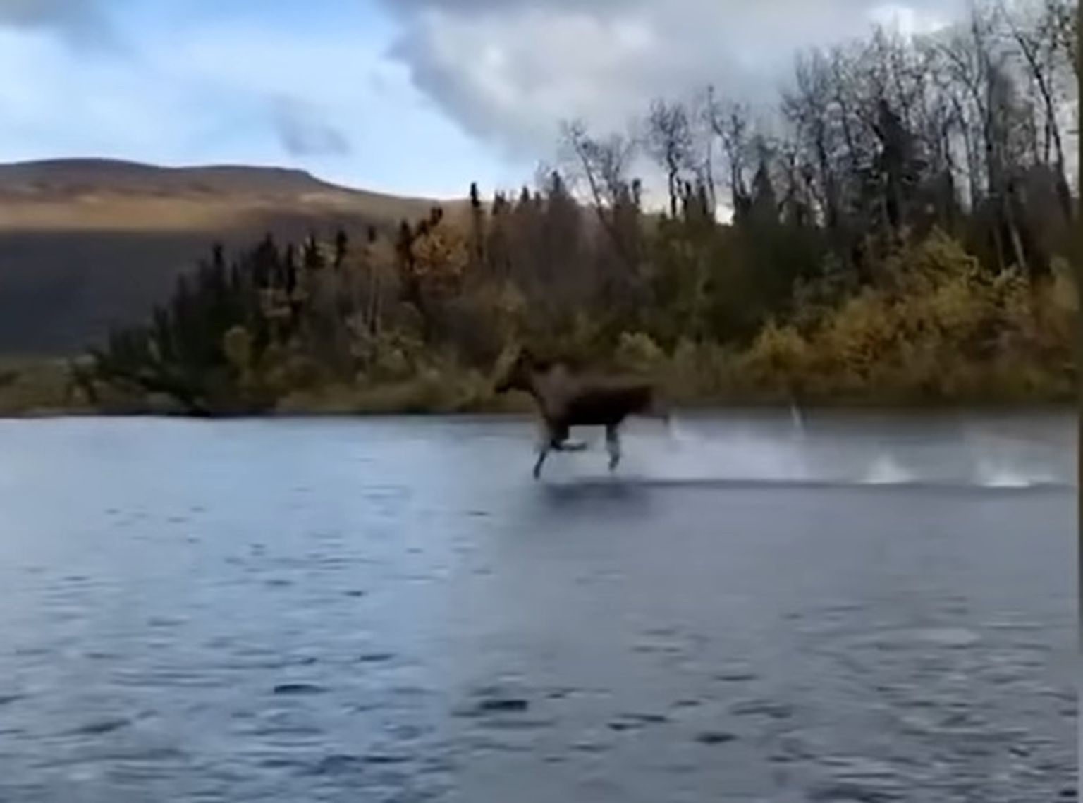 Kuvatõmmis videost