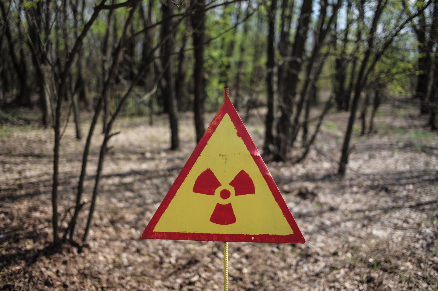 Radioaktiivset ainet saab uudse tehnika abil leida kümnete kilomeetrite kauguselt, teatavad Lõuna-Korea teadlased.
