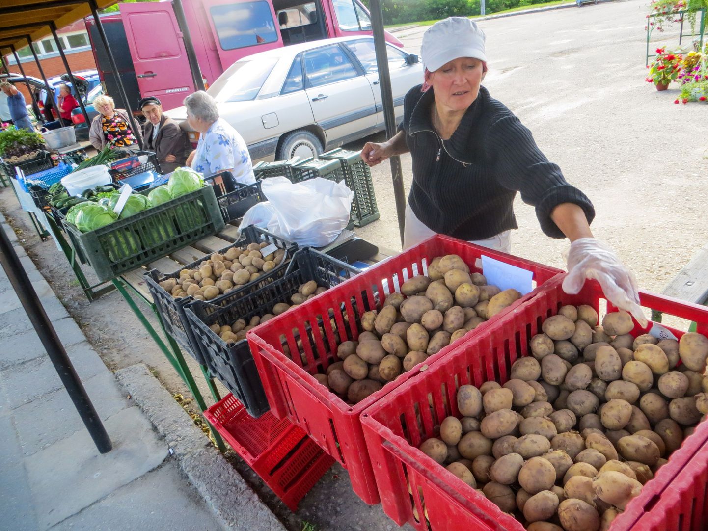 Lätlanna Rudite Tentere müüb Valka turul uut kartulisorti. Pisut madalamad hinnad on müüja väitel sel aastal meelitanud varasemast rohkem eestlasi üle piiri kartuleid ostma.