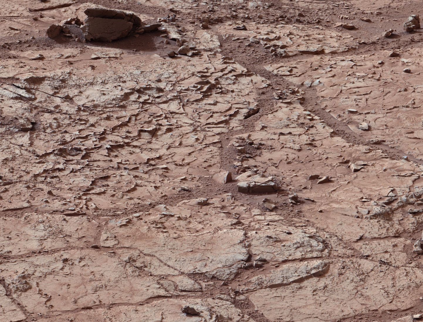 Marsil võib siiski leiduda mikrobioloogilist elu?