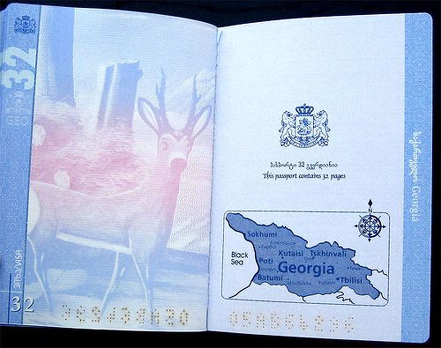 Gruusia pass.