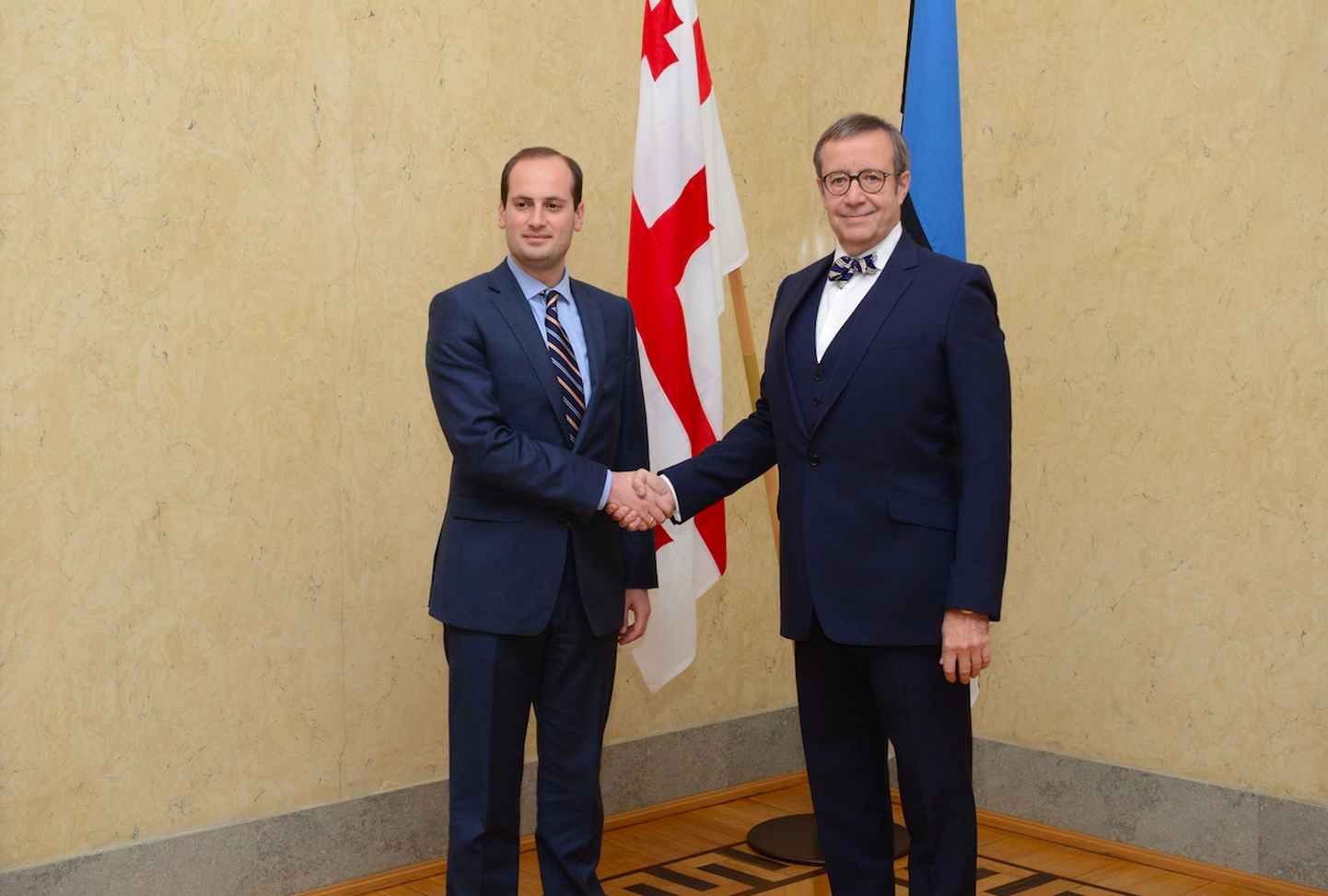 President Ilves kohtus Gruusia välisministriga.