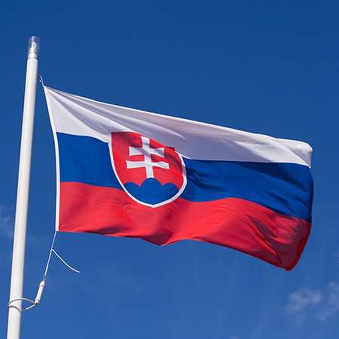 Slovakkia lipp.