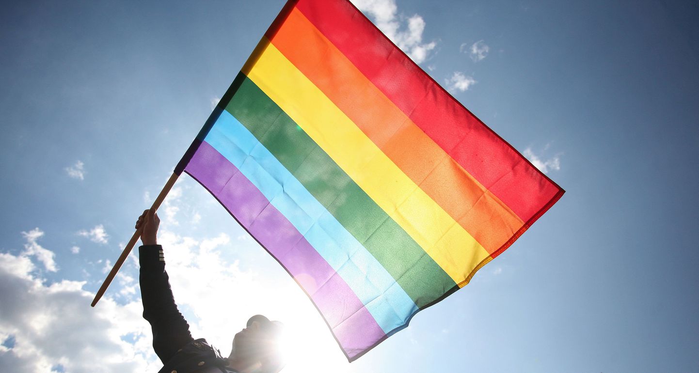 Флаг цветов радуги - символ сексменьшинств.