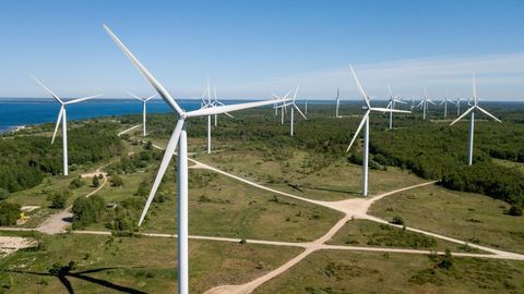 ����: rus.postimees.ee