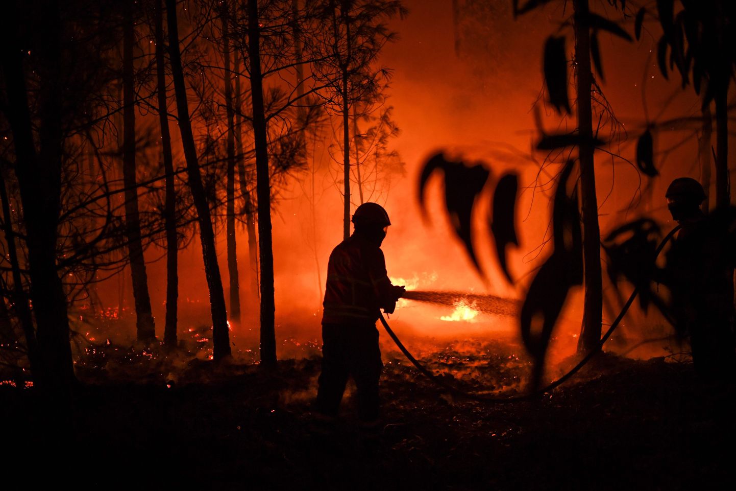 Tuletõrjuja kustutamas eile Portugali keskosas, Vale de Abelha külas möllavat metsapõlengut.