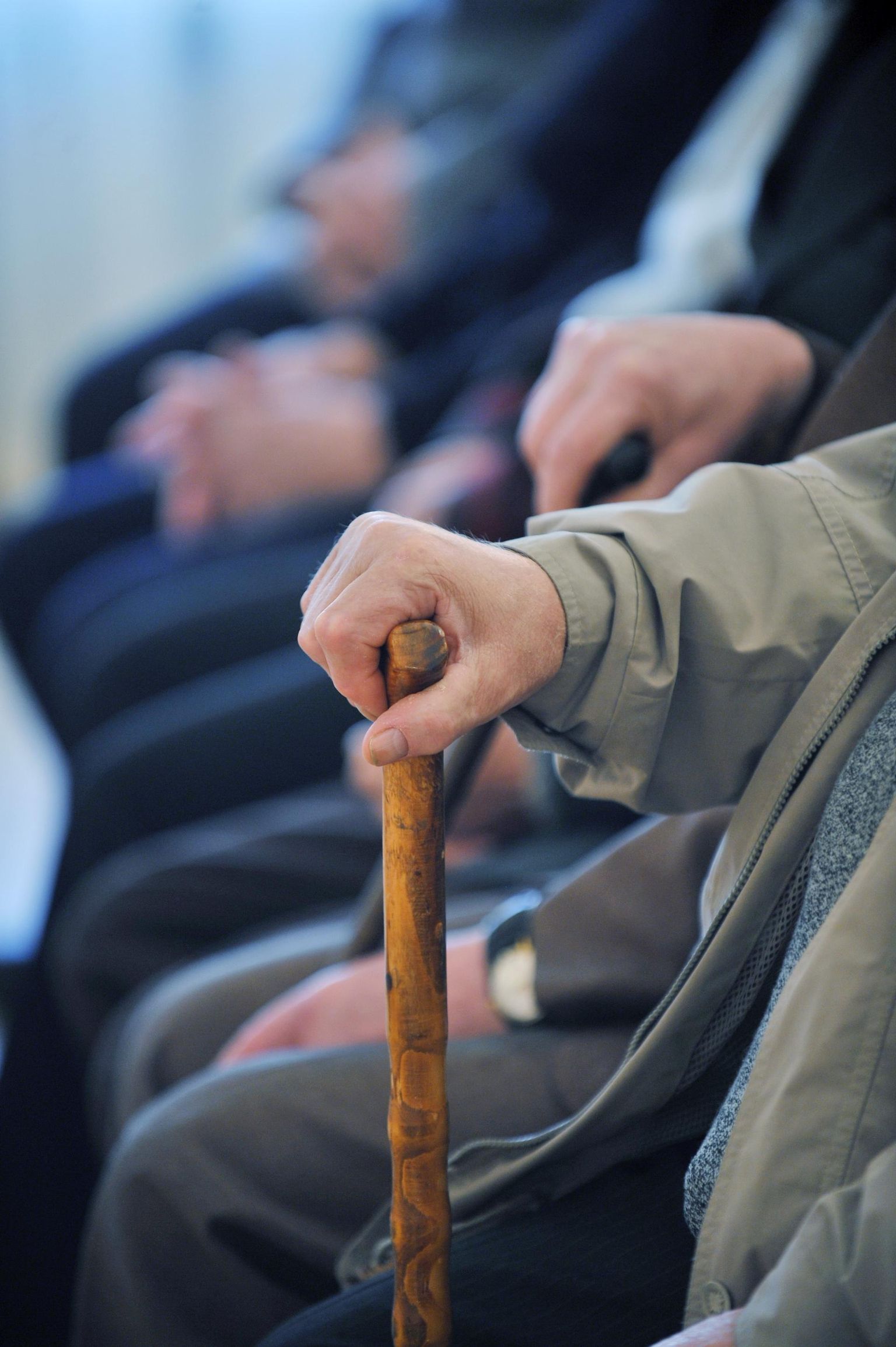 Üksi elava pensionäri toetus on ka sel aastal 115 eurot.