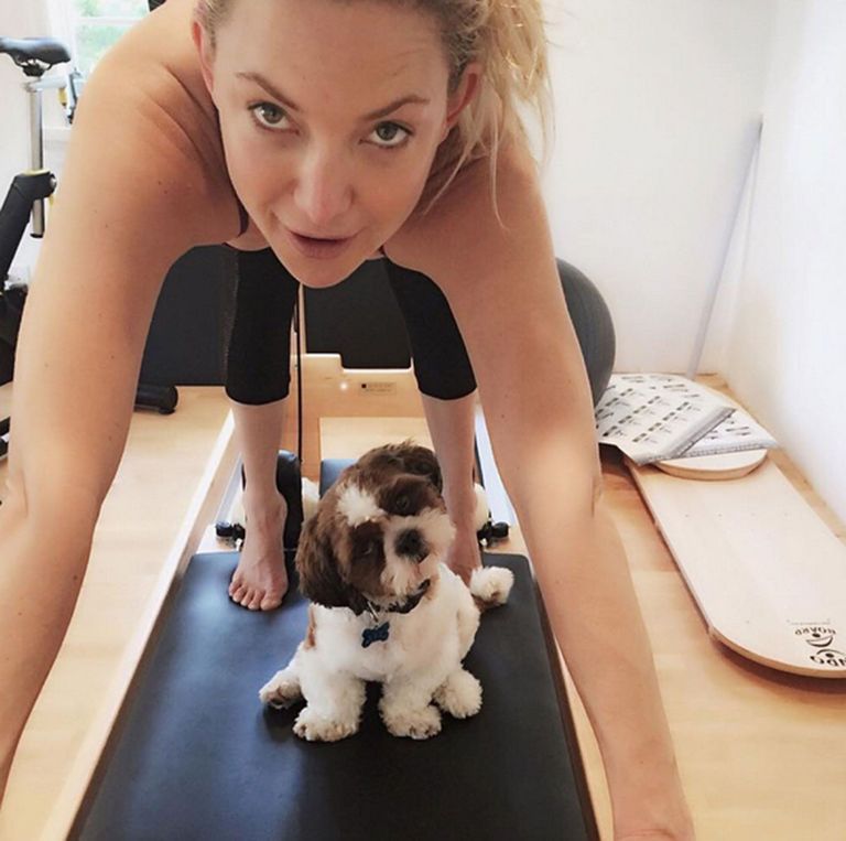 Kate Hudson treenib koos koeraga (Xposure)