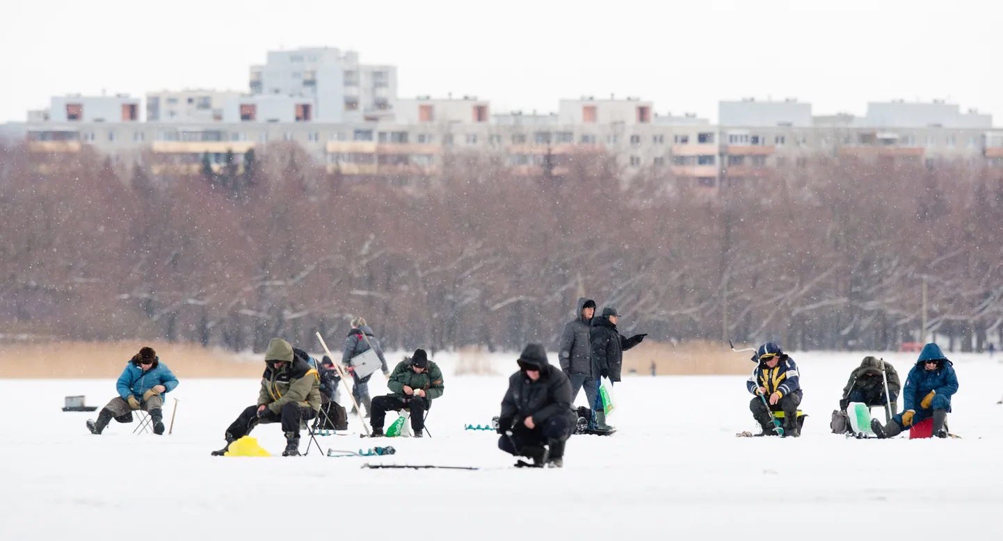 Kalastajad Harku järve jääl.