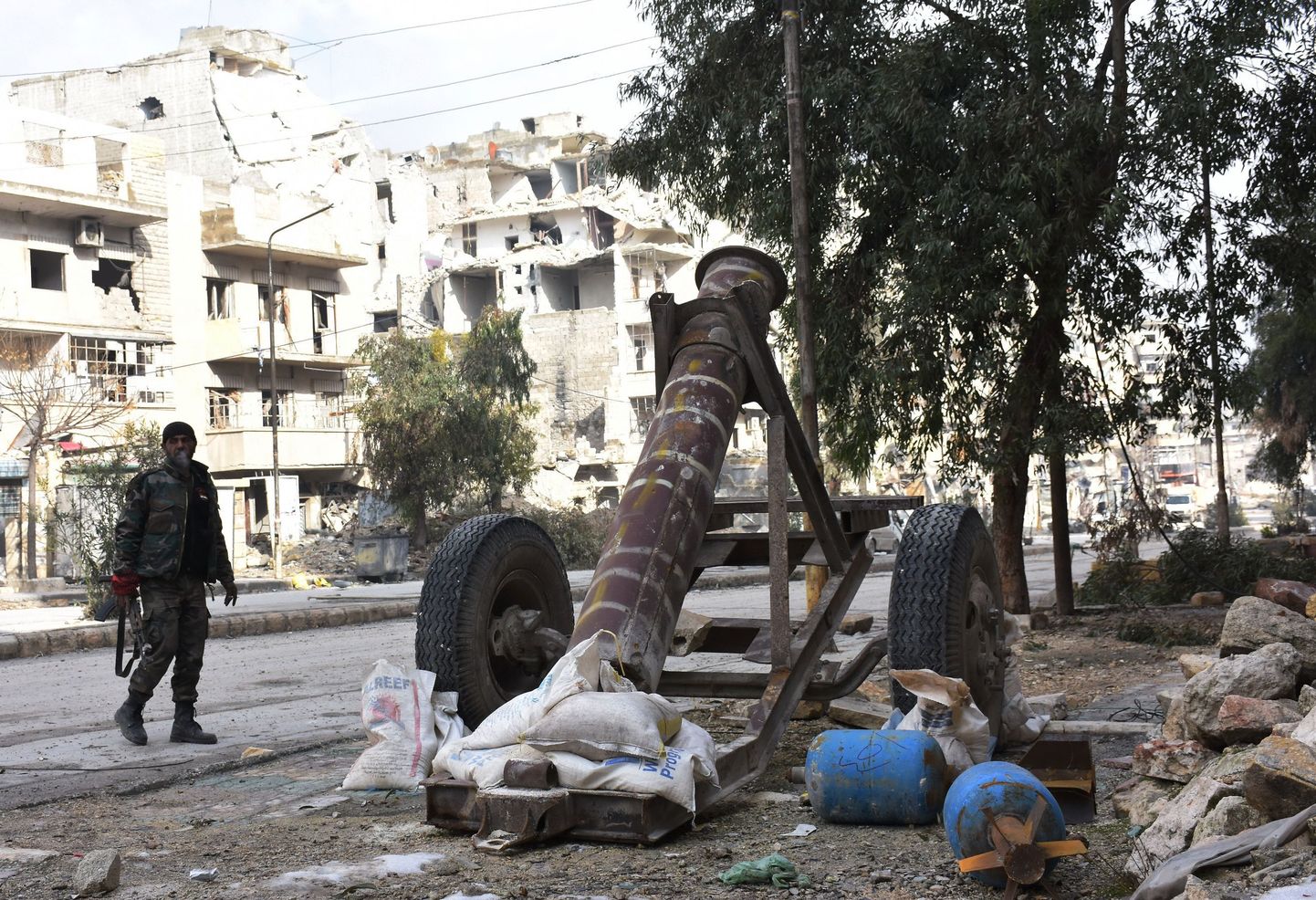 Süüria režiimi võitleja Aleppos.