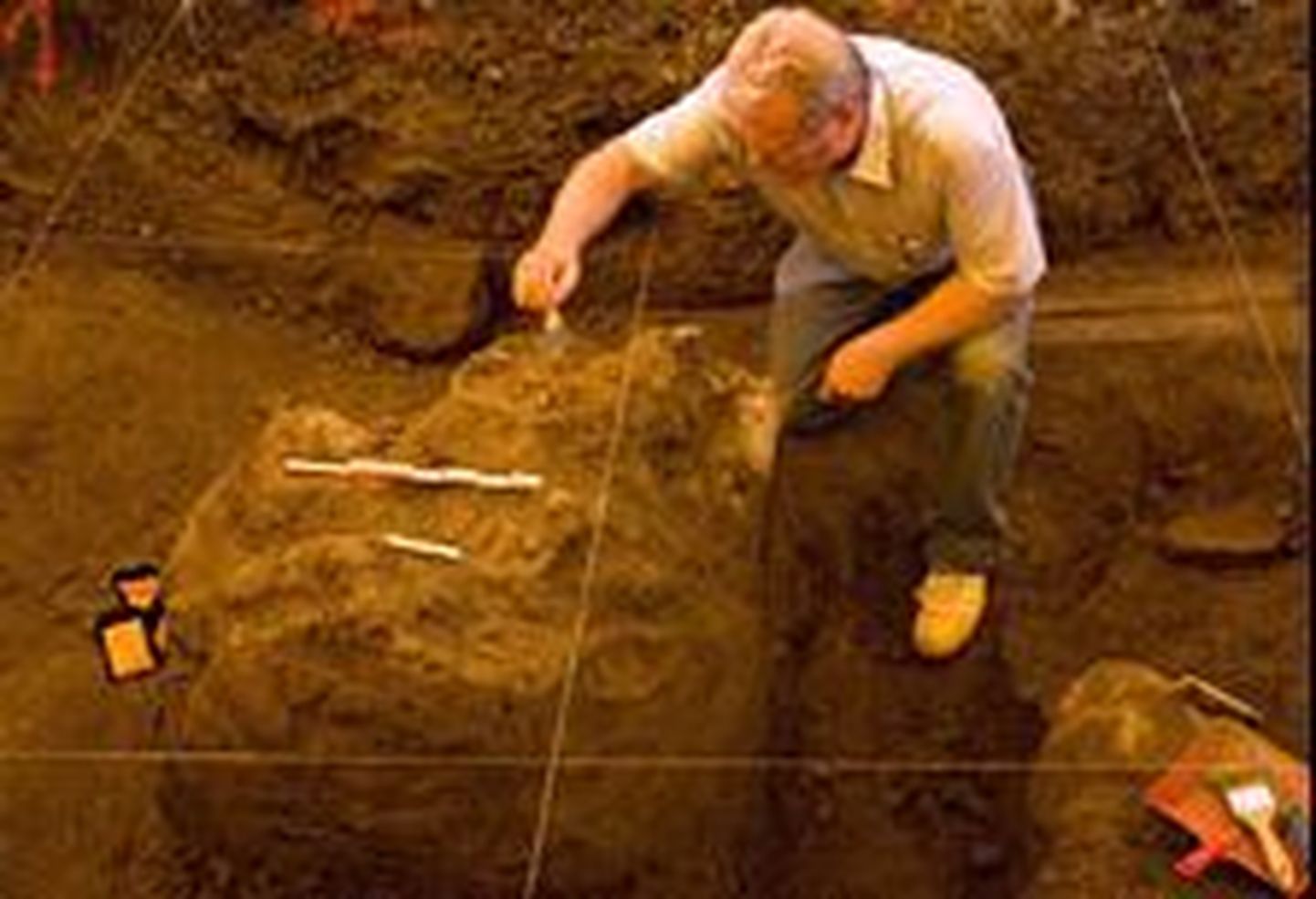 Prantsusmaalt leidi 400 000 aasta vanune stepimammuti fossiilne pealuu