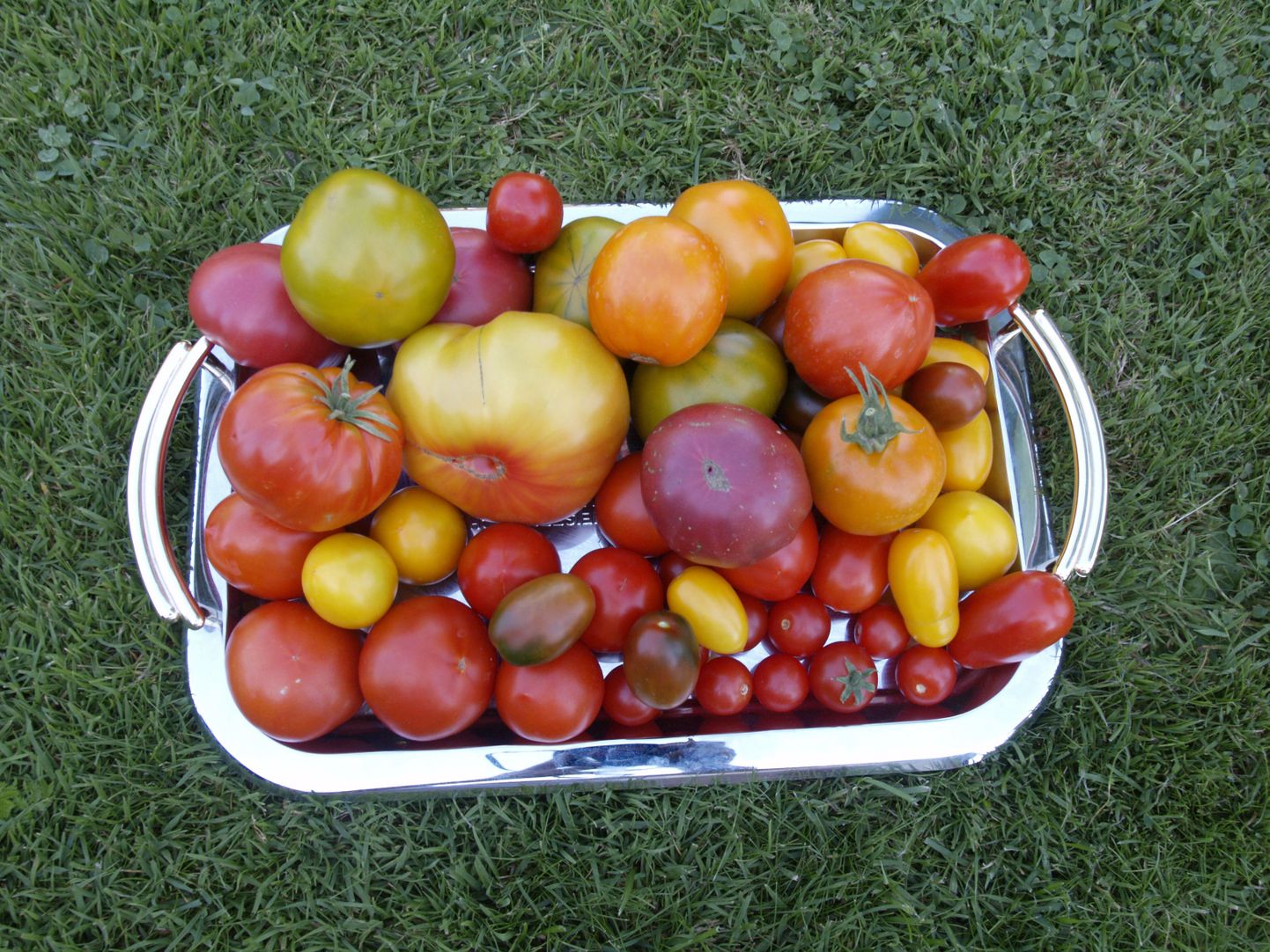 Maitsetesti jaoks on ei ole nii suurt tomativalikut tarvis, alustades piisab kolmest kuni viiest sordist.