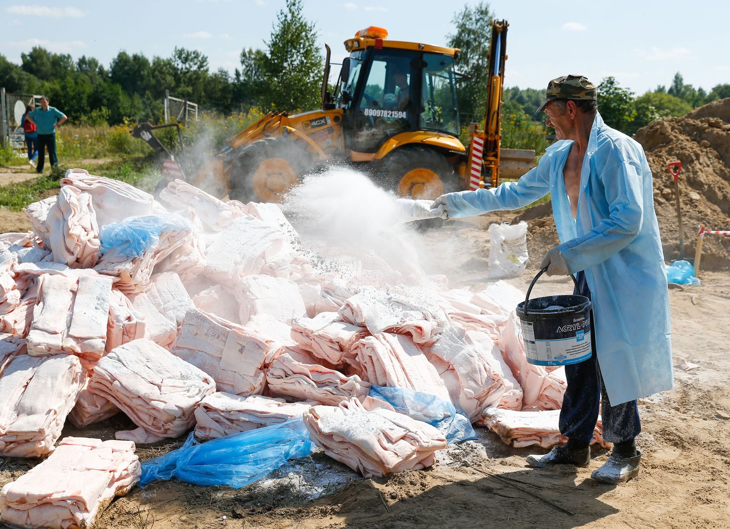 Уничтожение, нелегально импортированной в Росссию, свинины.
