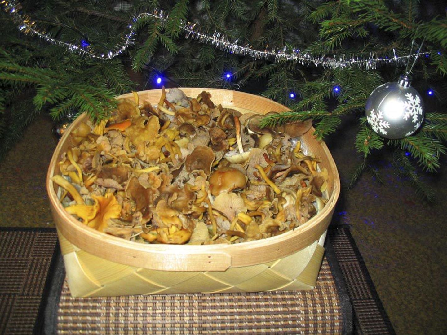 Paarsada grammi vähem kui kaks kilo – niisugune oli jõulupühade-eelne seenesaak, mis kogunes kolme ja poole tunniga.